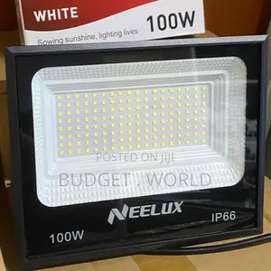 Neelux 100W LED Floodlight With Adjustable Mounting Bracket