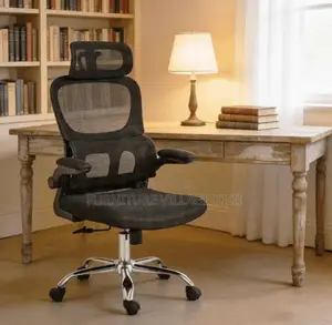 Office Chair: Orthopedic High Back Chair