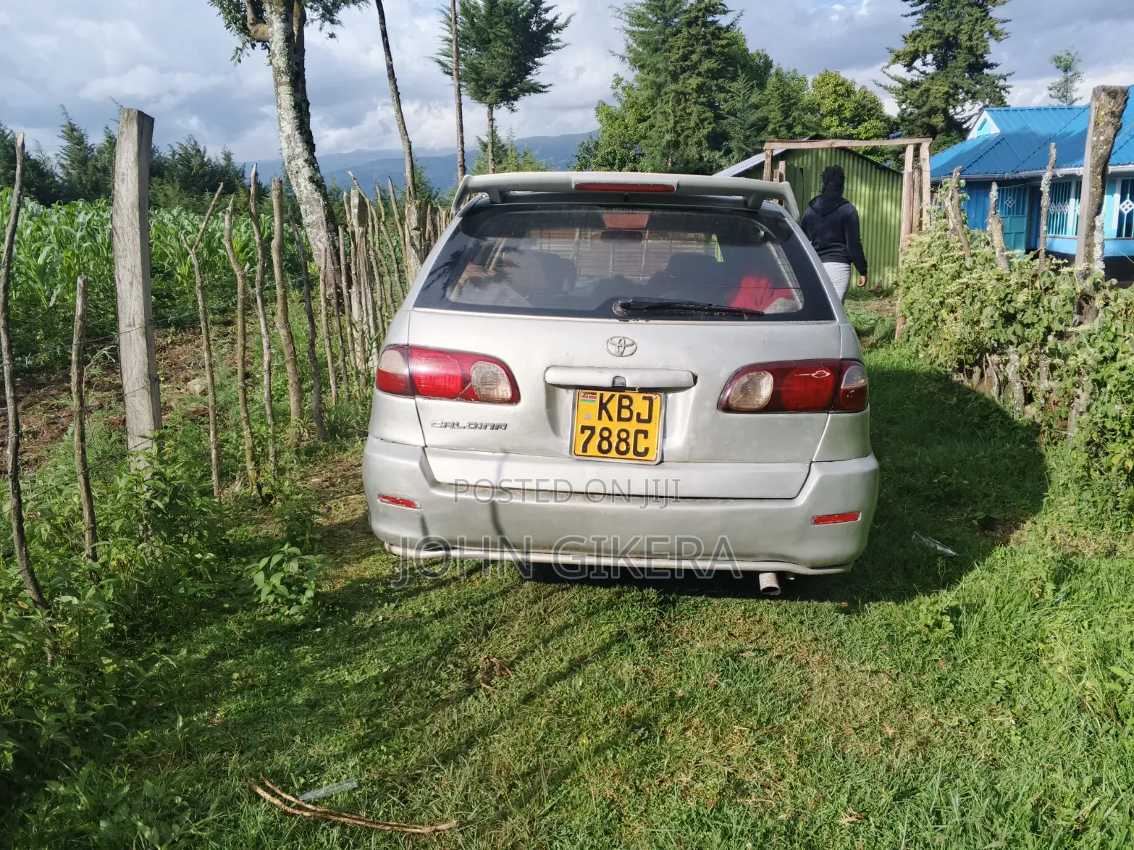 Toyota Caldina 2002 Gray