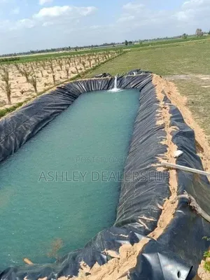 Quality HDPE Dam Liners