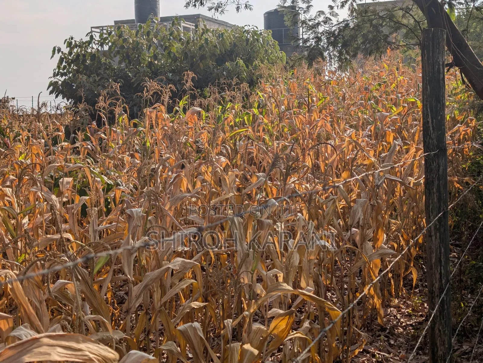 Prime 1/4 Acre Plot for Sale in Karai, Kiambu – Ready for Development