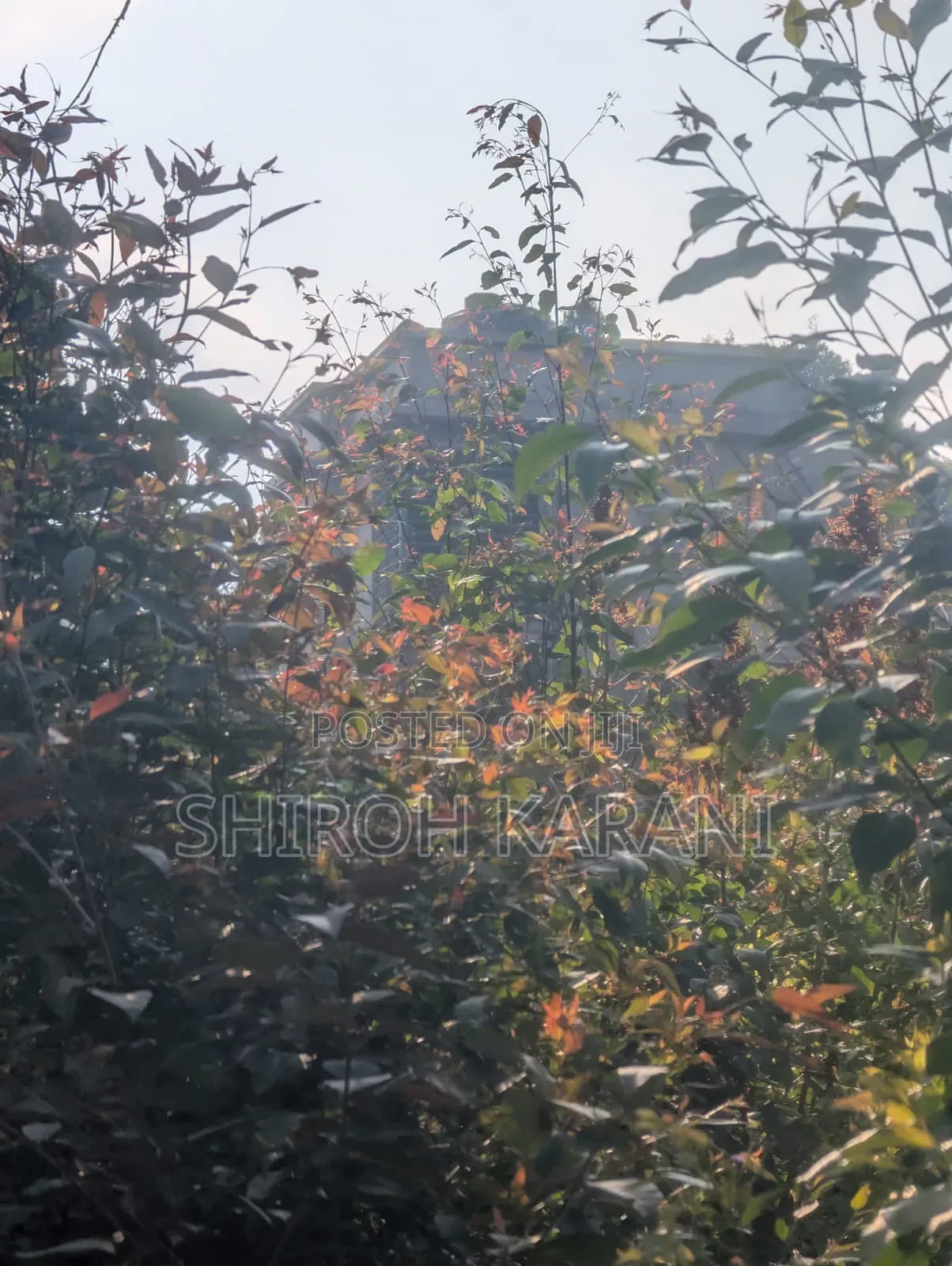 Prime 1/4 Acre Plot for Sale in Karai, Kiambu – Ready for Development