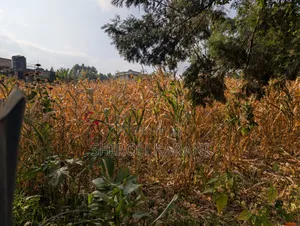 Prime 1/4 Acre Plot for Sale in Karai, Kiambu – Ready for Development