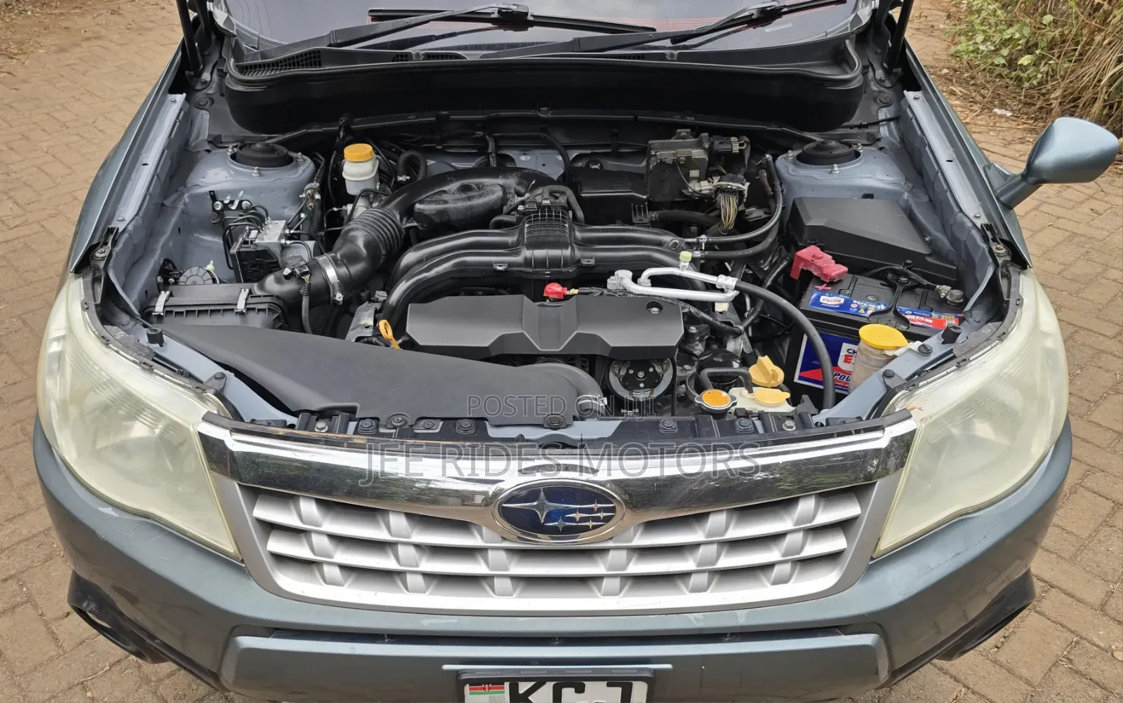 Subaru Forester 2010 Green