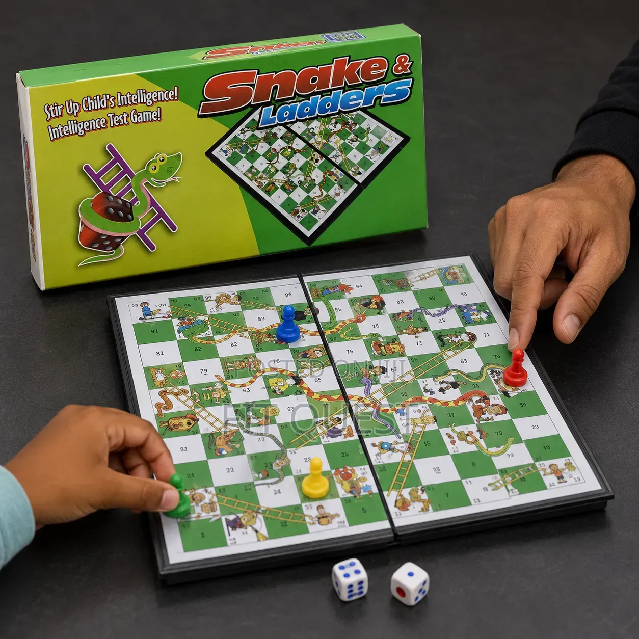Magnetic Snakes Ladders Foldable Design Small Size