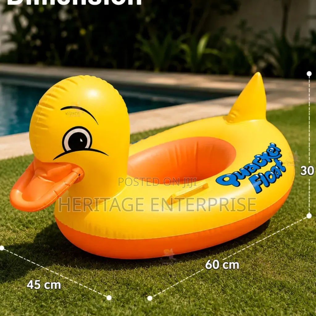 Swimming Duck