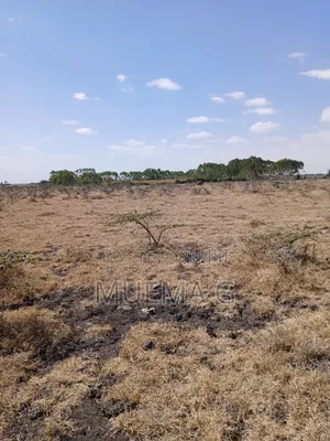 Freehold Land 50*100 1/8 Ha