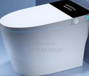 Bolesi Smart Toilet