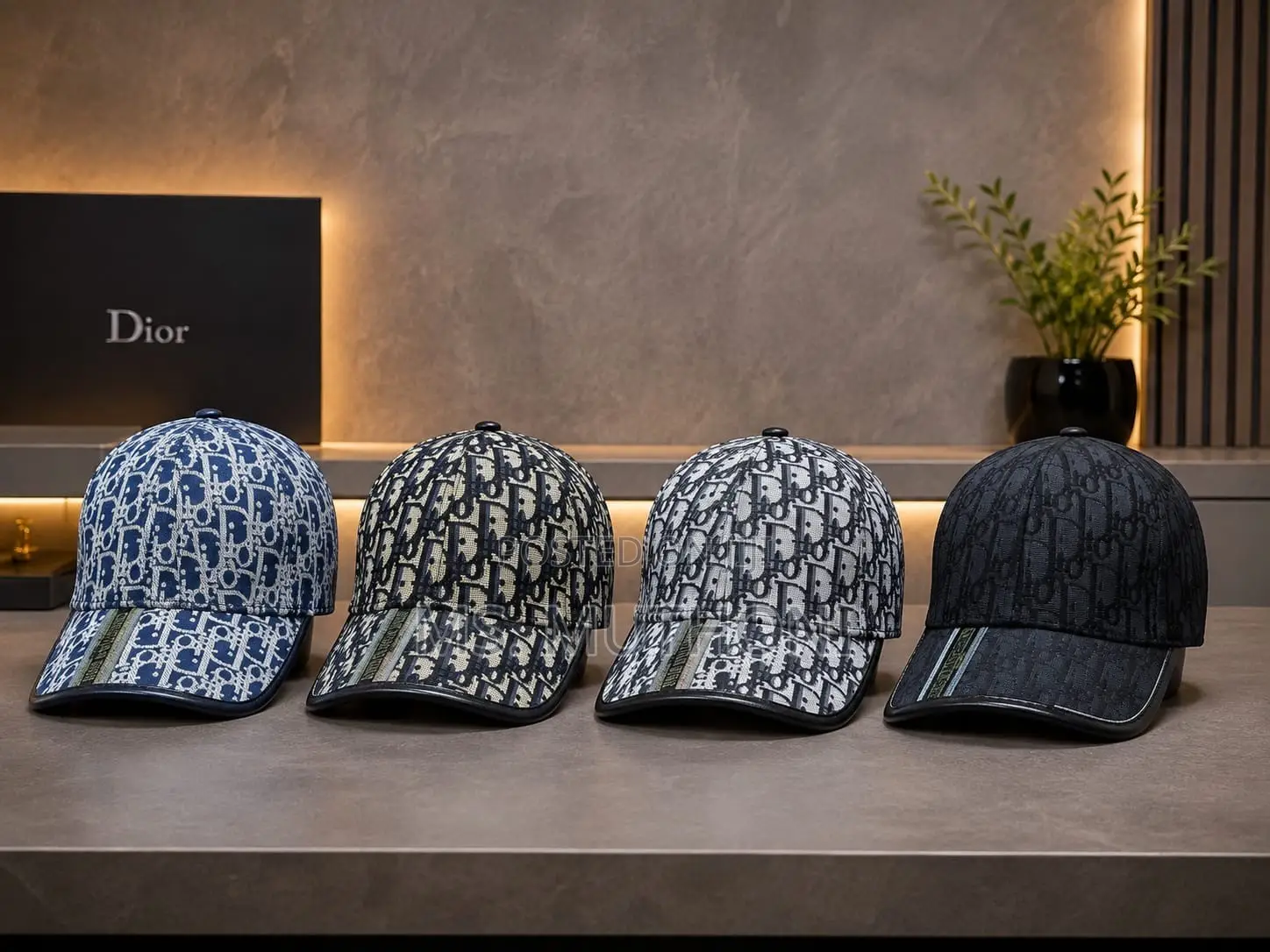 Unisex Cotton Canvas Dior Caps 