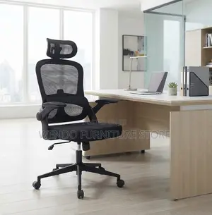 Office Chairs; Orthopedic Sinx Office Chairs