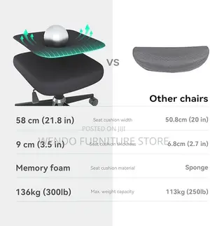 Office Chairs; Orthopedic Sinx Office Chairs