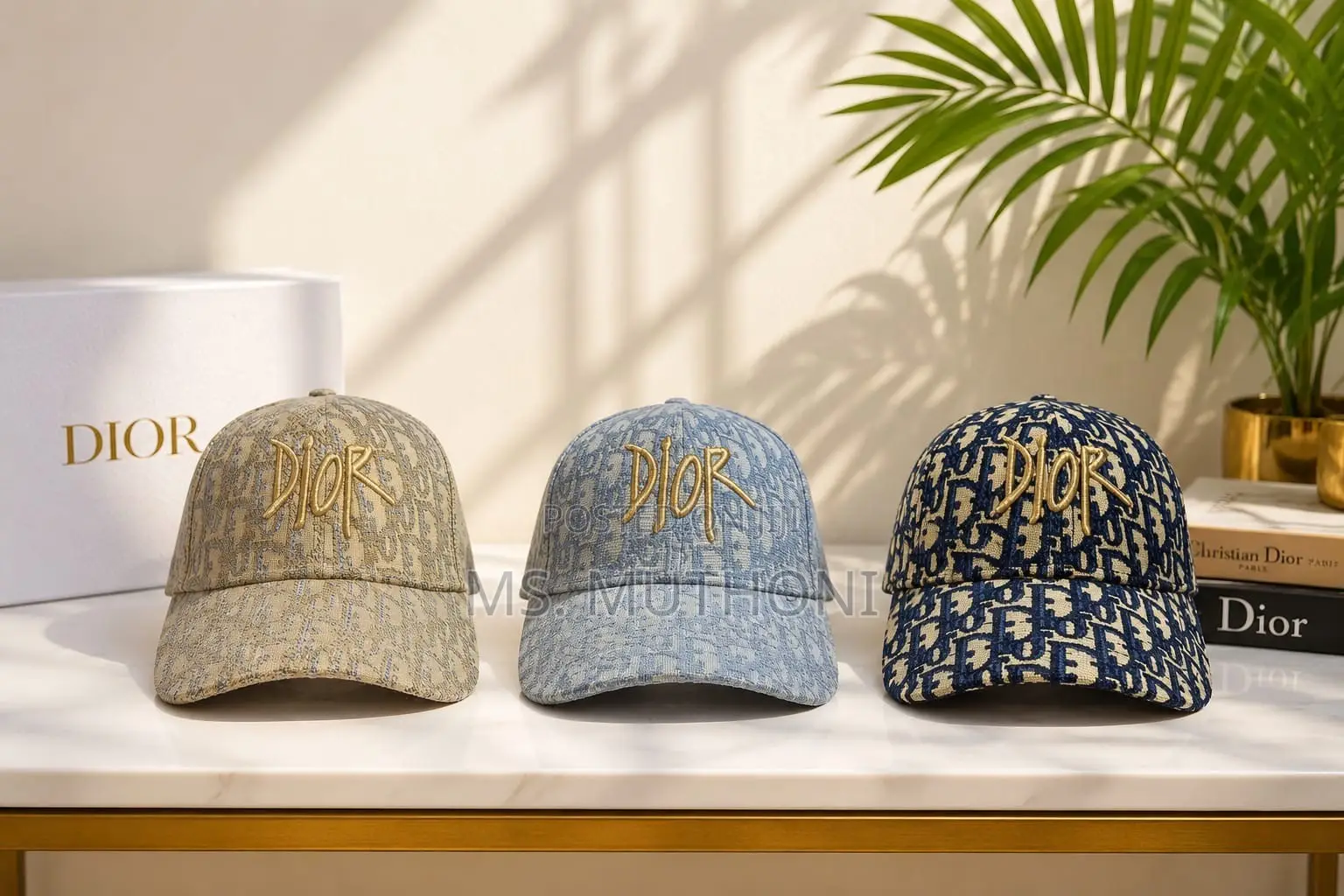 Unisex Cotton Canvas Dior Caps 