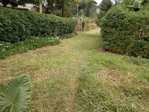 50x100 Kikuyu-Ondiri
