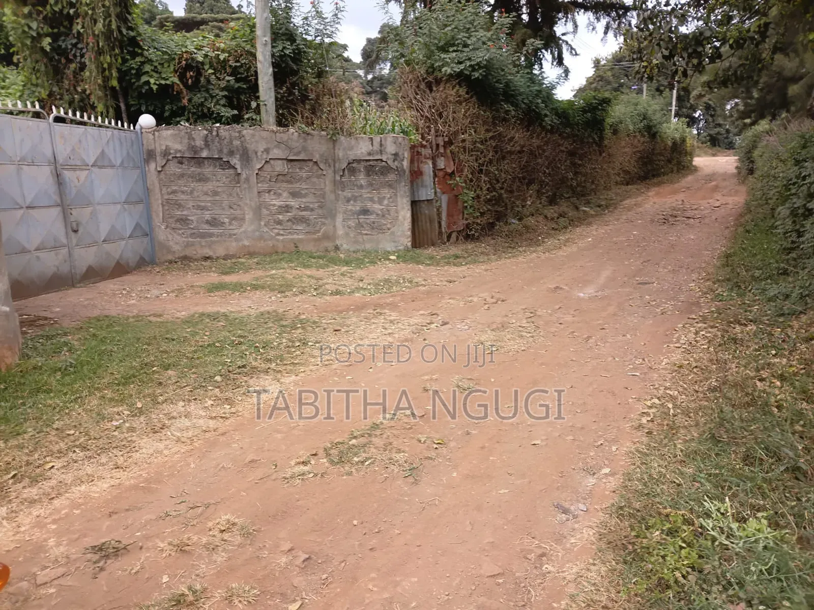 50x100 Kikuyu-Ondiri