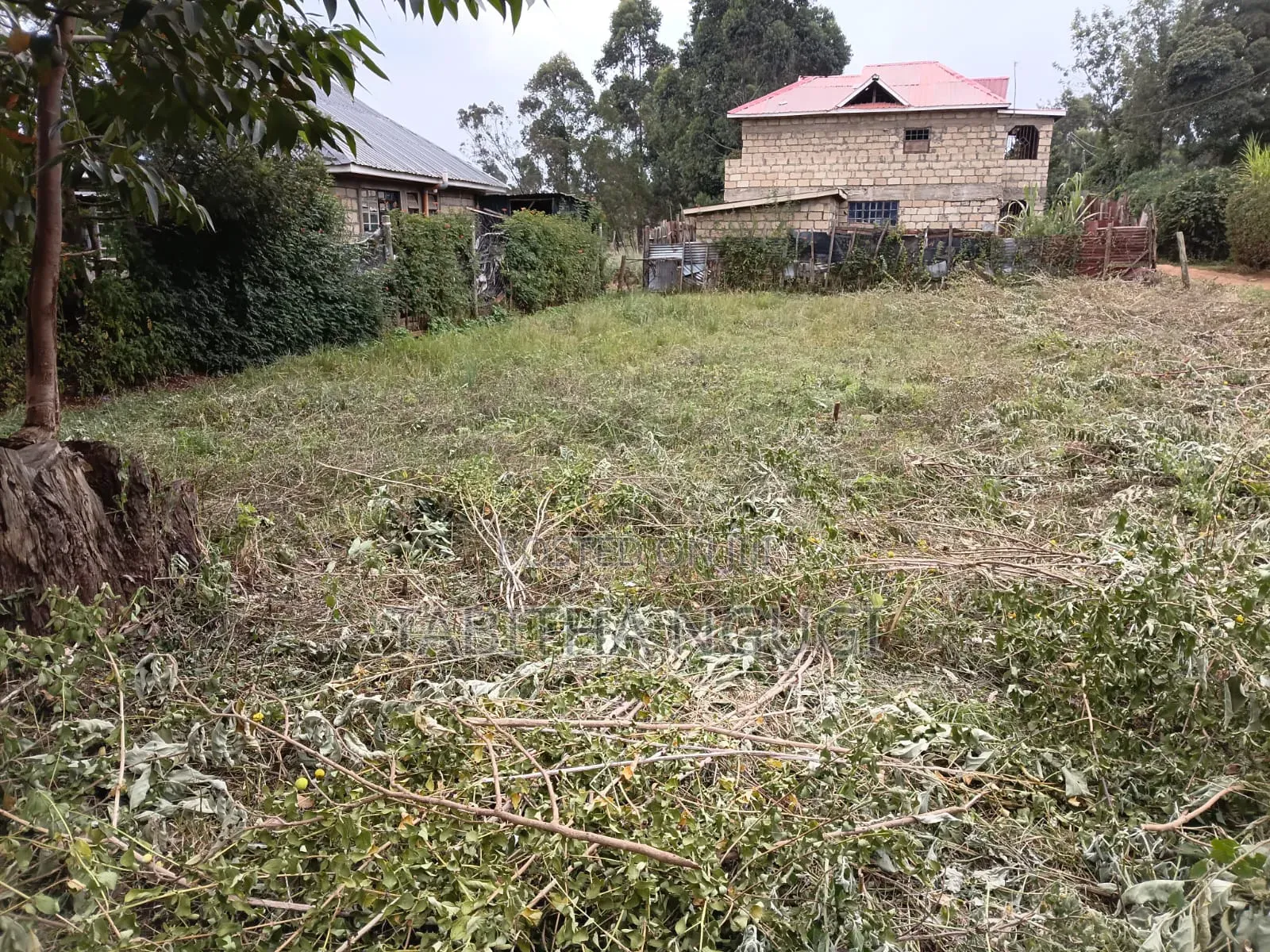 50x100 Kikuyu-Ondiri
