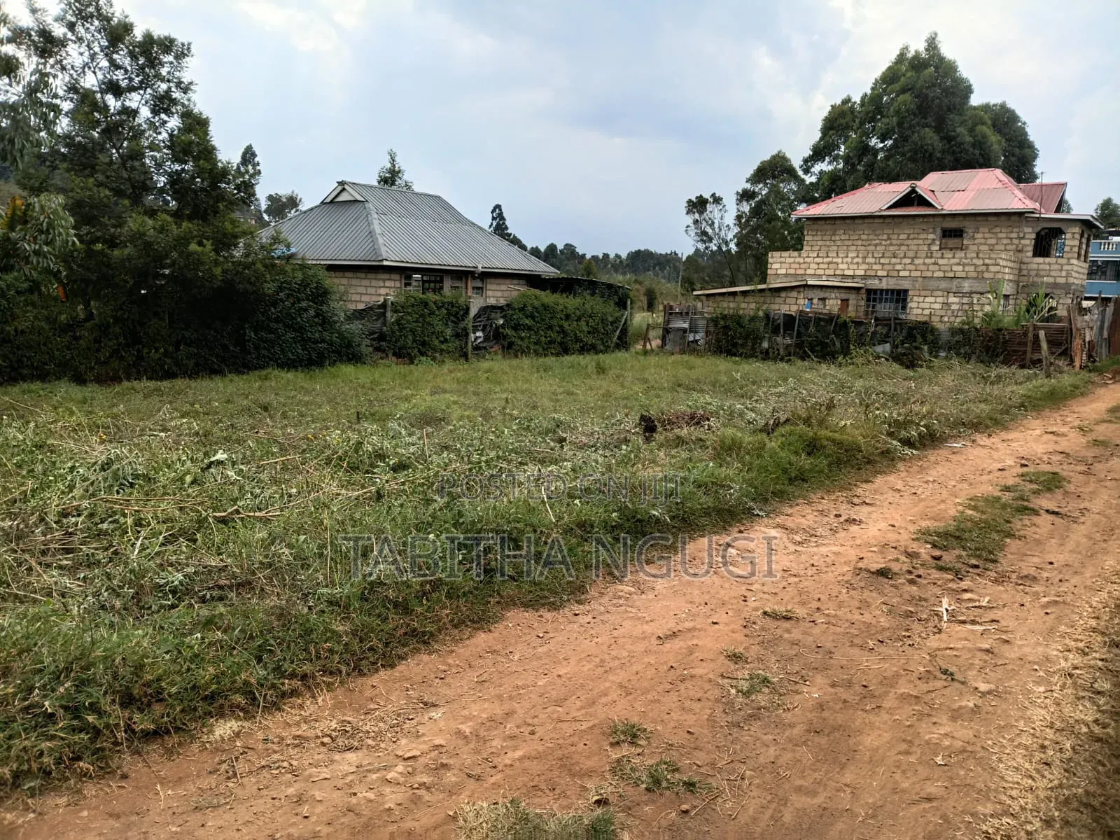 50x100 Kikuyu-Ondiri