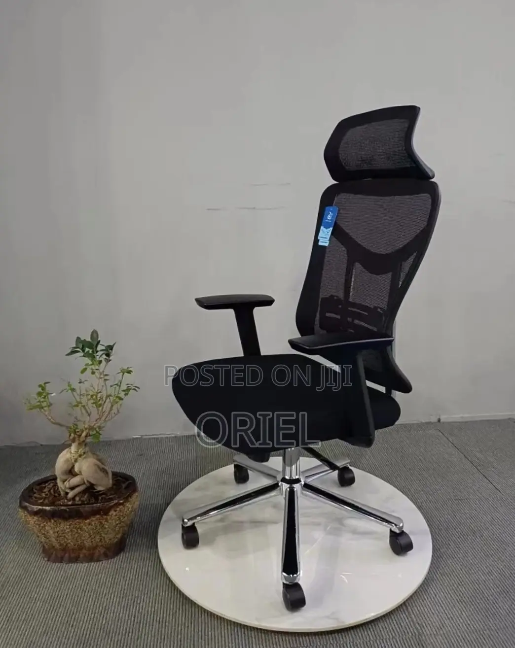 Office Chair : Mesh Office Swivel Chair