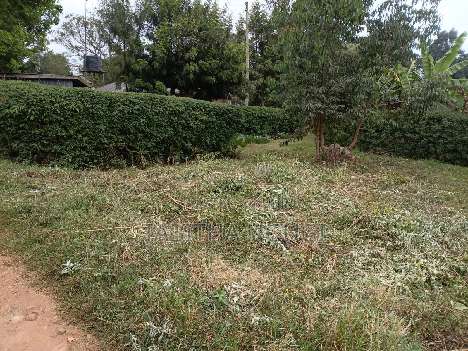 50x100 Kikuyu-Ondiri
