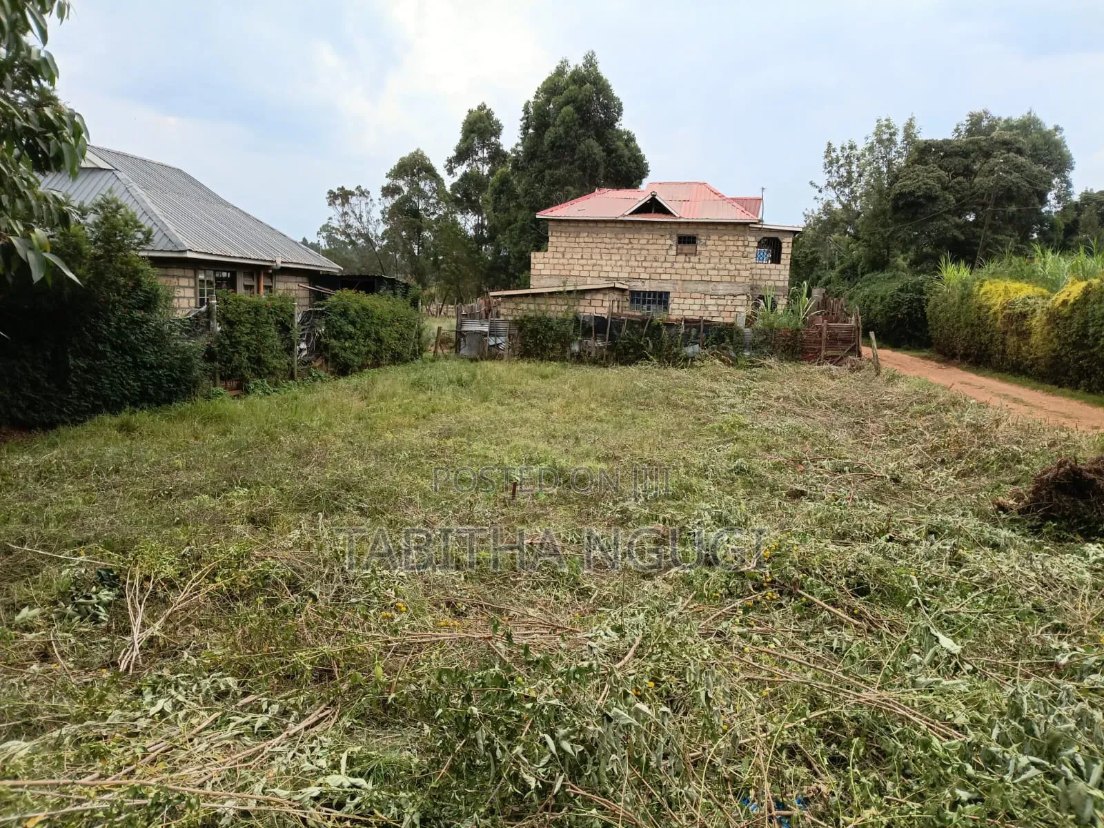 50x100 Kikuyu-Ondiri