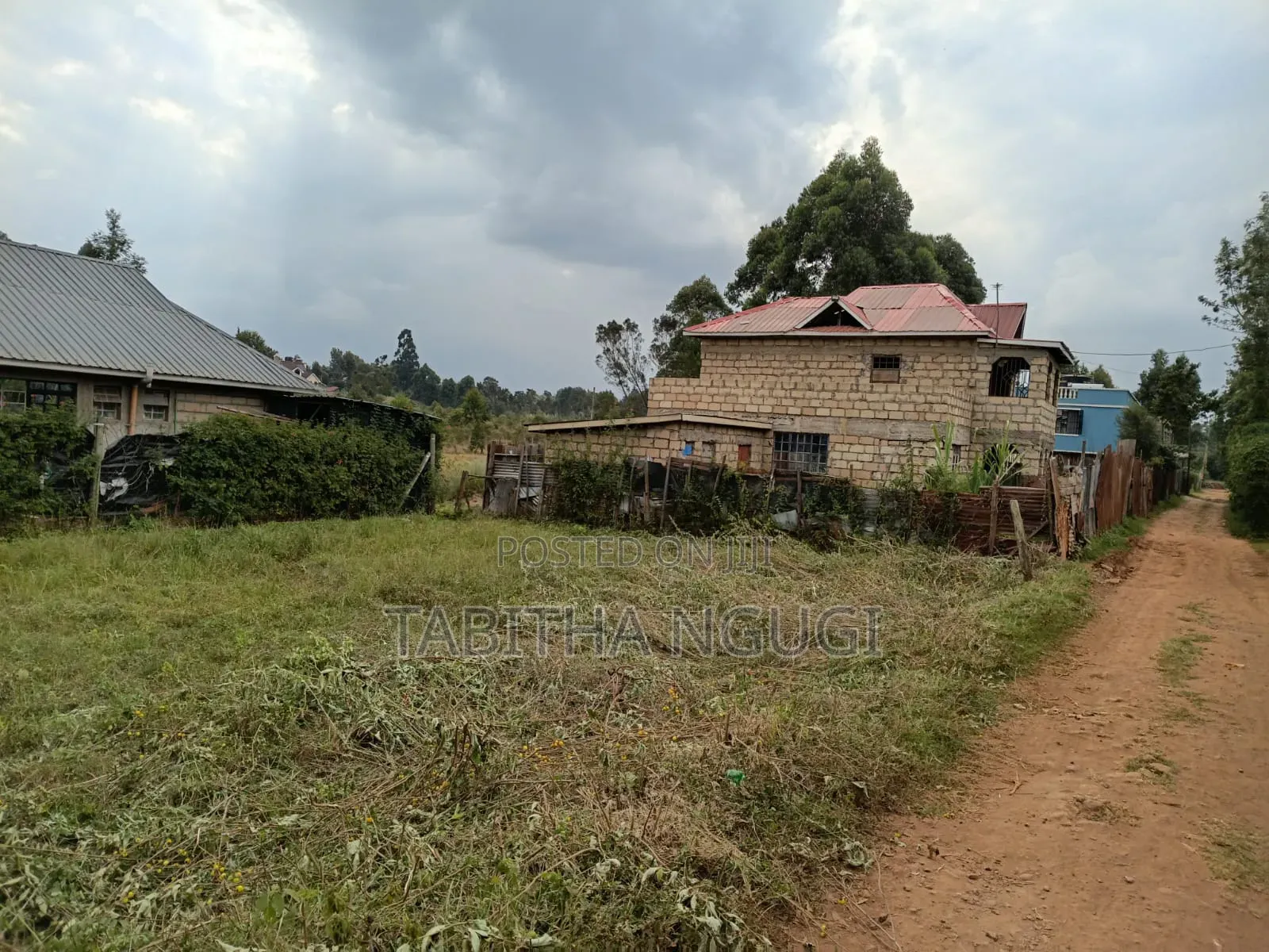 50x100 Kikuyu-Ondiri