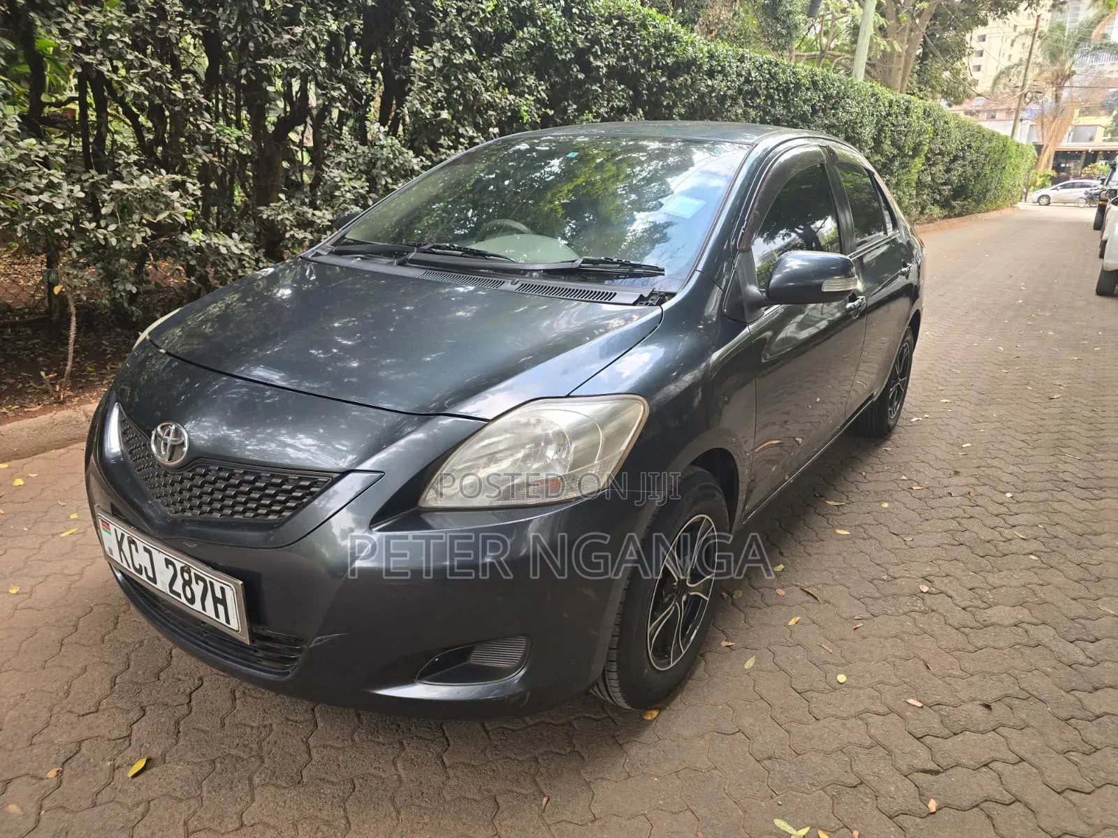 Toyota Belta 2009 Gray