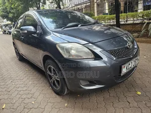 Toyota Belta 2009 Gray