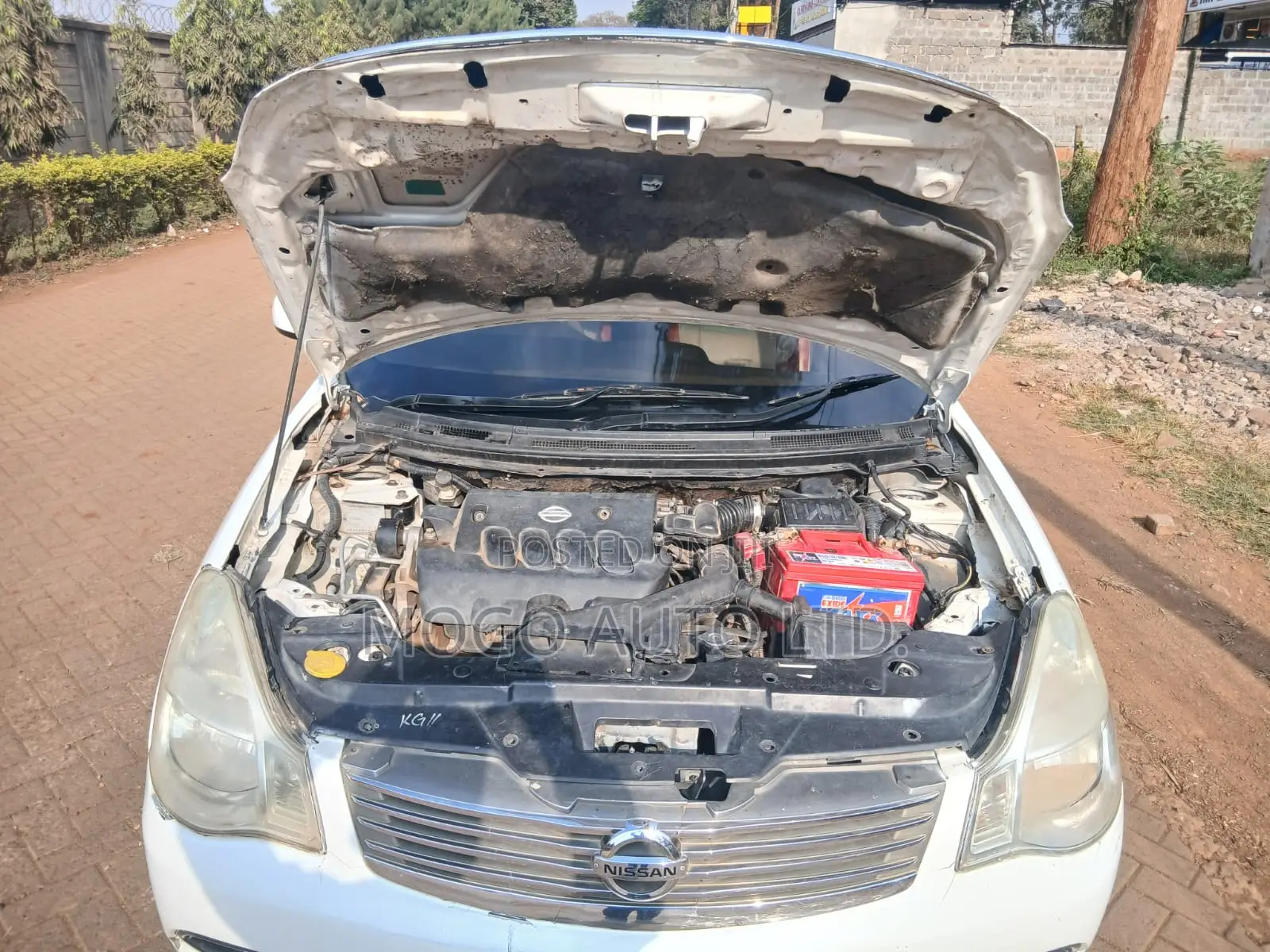 Nissan Bluebird 2009 White