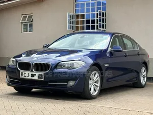 BMW 520i 2010 Blue
