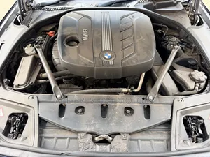BMW 520i 2010 Blue