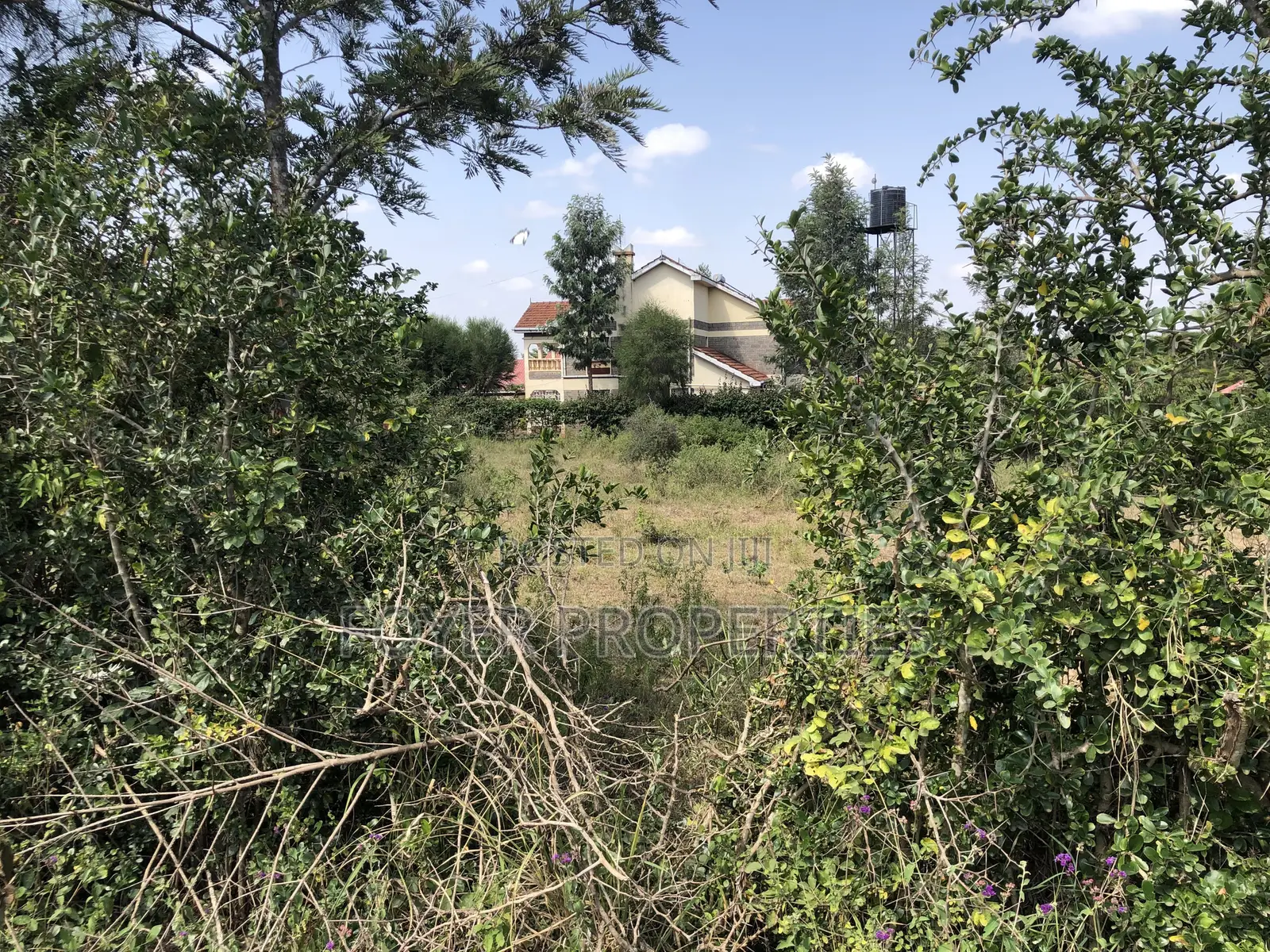 Prime 1/4 Acre in Ongata Rongai