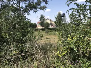 Prime 1/4 Acre in Ongata Rongai