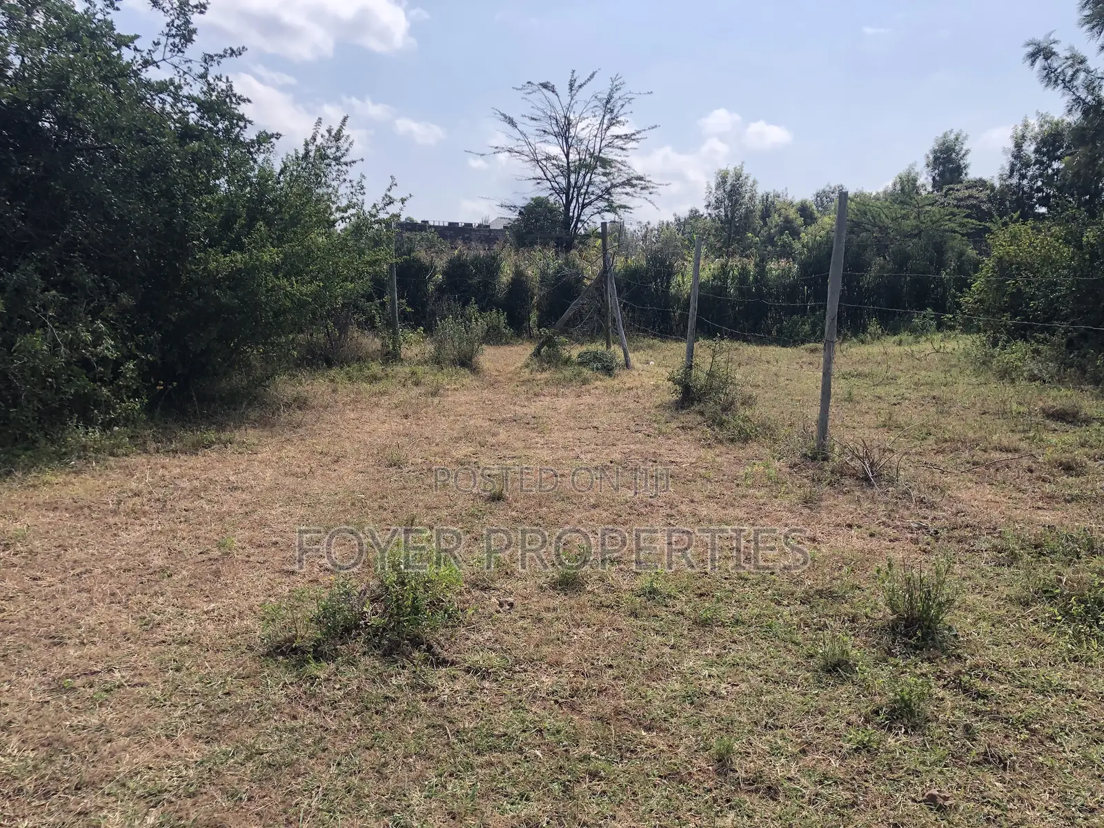 Prime 1/4 Acre in Ongata Rongai
