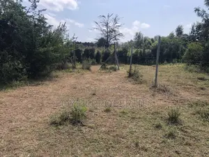 Prime 1/4 Acre in Ongata Rongai