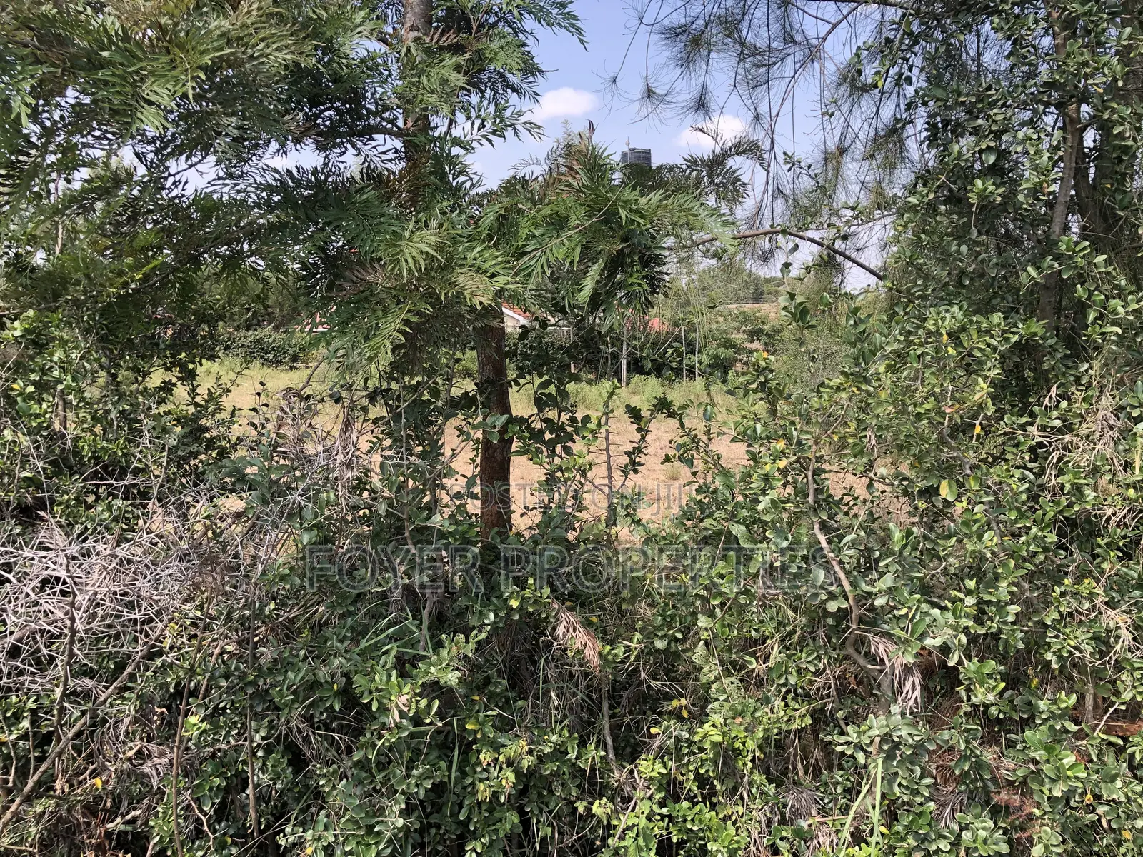 Prime 1/4 Acre in Ongata Rongai