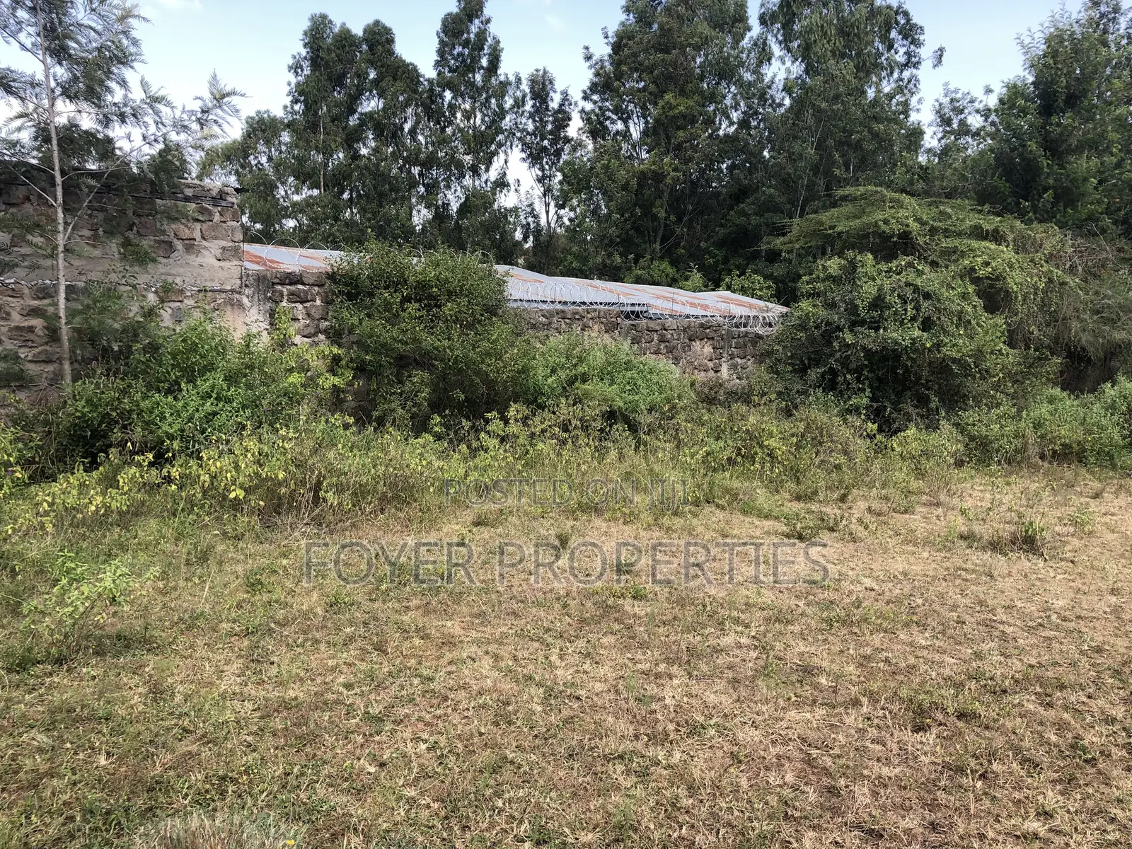 Prime 1/4 Acre in Ongata Rongai