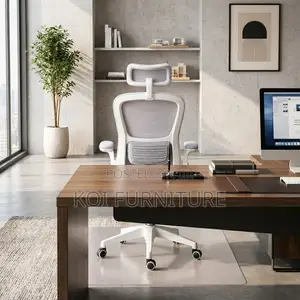 Office Chaitrs; Orthopedic High Backrest Boss Recliner Fabric Chair