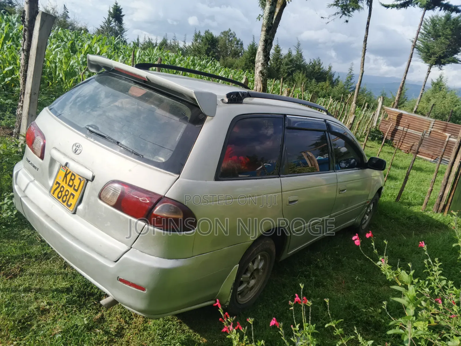 Toyota Caldina 2002 Gray