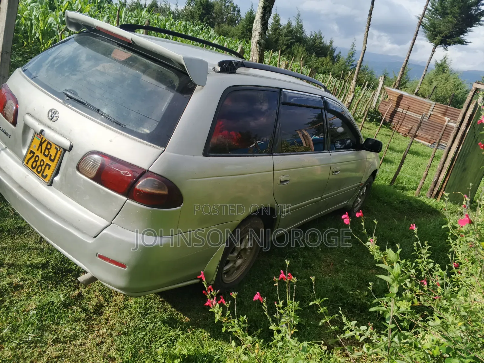 Toyota Caldina 2002 Gray