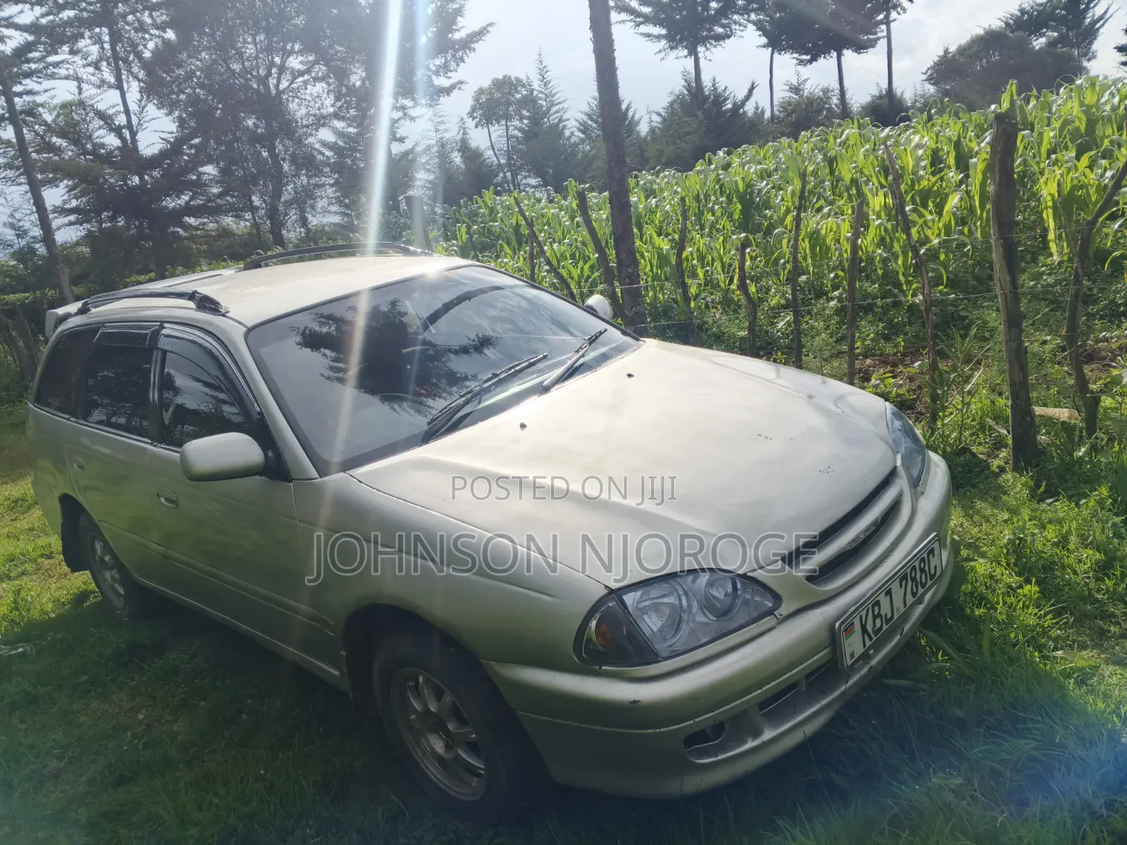Toyota Caldina 2002 Gray