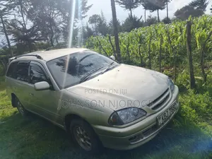 Toyota Caldina 2002 Gray