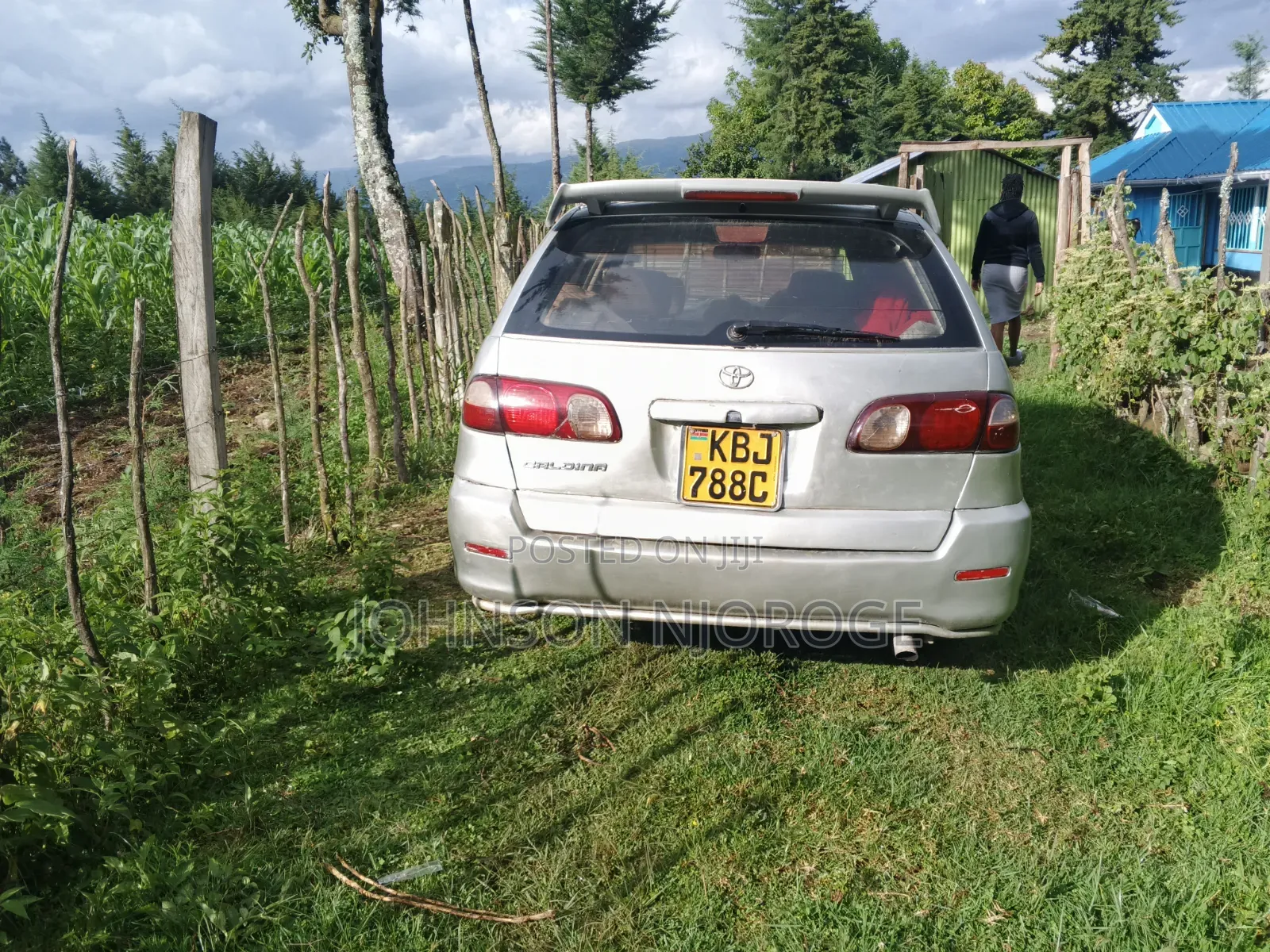 Toyota Caldina 2002 Gray