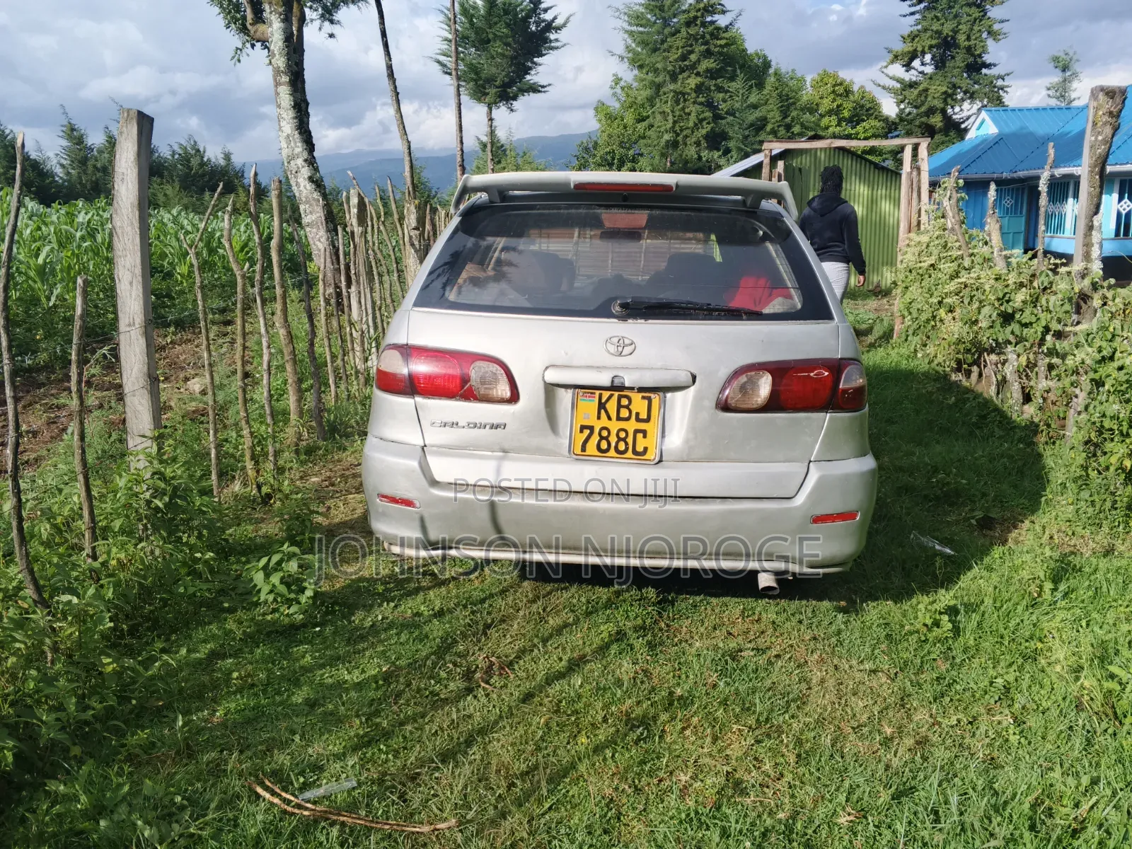 Toyota Caldina 2002 Gray