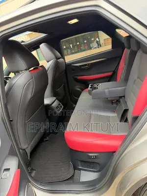 Lexus NX 2019 Silver