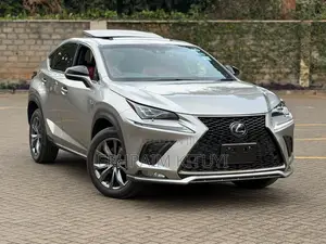 Lexus NX 2019 Silver