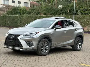 Lexus NX 2019 Silver