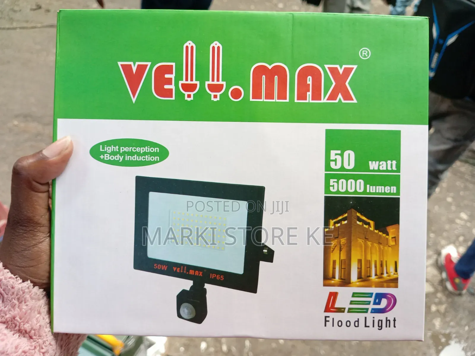 Motion Sensor 50watts AC Floodlight/Velmax Motion Sensor Floodlight