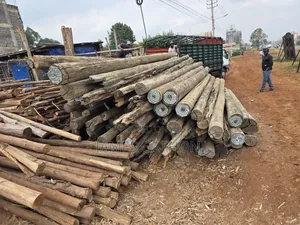 Treated Wooden Poles