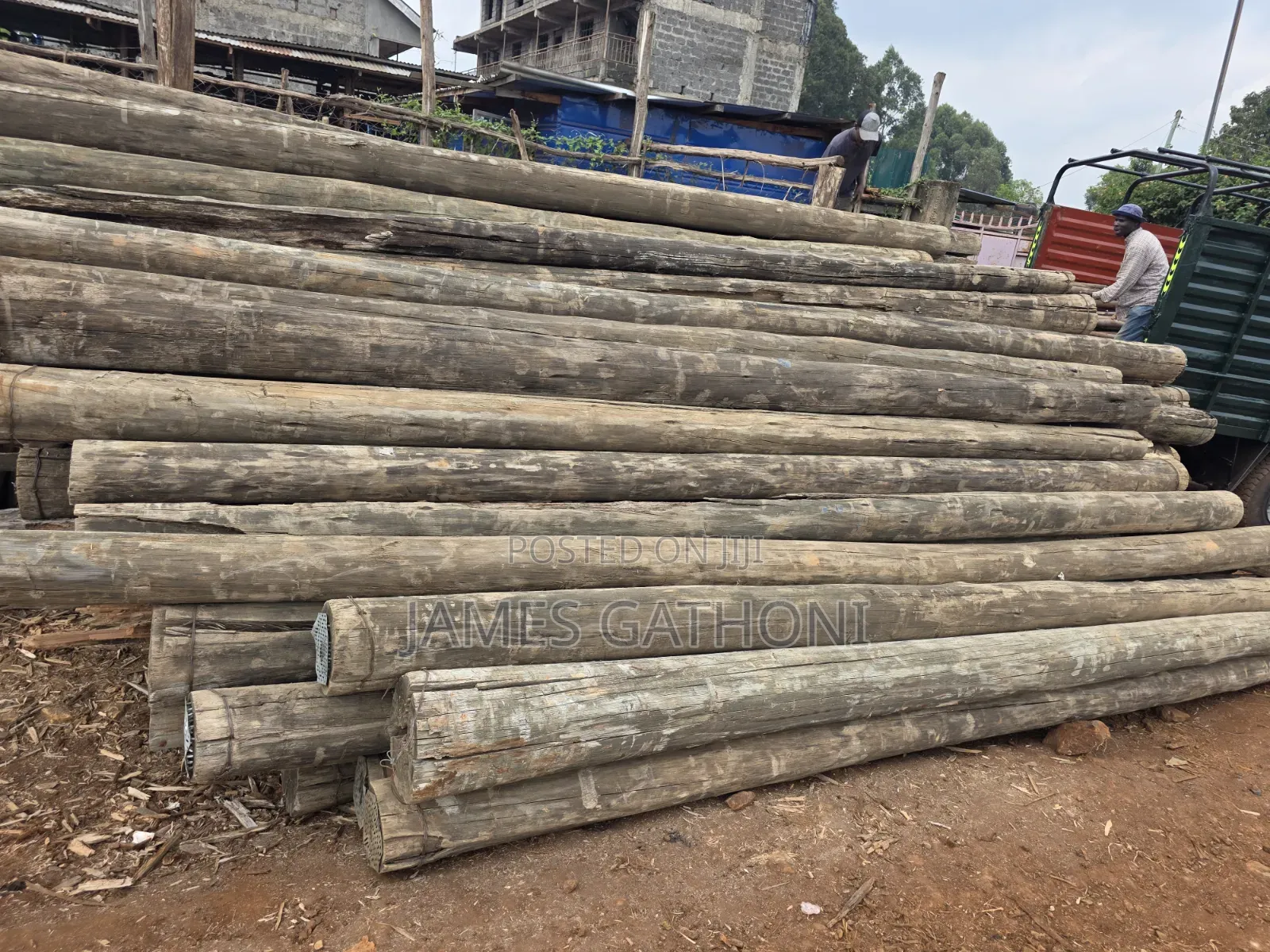 Treated Wooden Poles