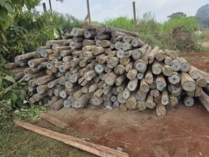 Treated Wooden Poles