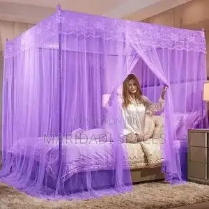 Different Colors 4stand Mosquito Net